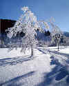 827507  D: winter in Bavaria