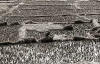 Nepal: Paddy fields