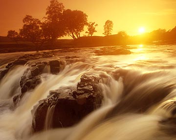 849947   GB: Low Force in Teesdale