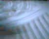 003005  Abstract background