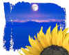000487 Sunflower & moon