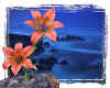 000495 Lillies & blue sea