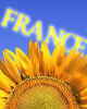 000739e France