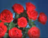 000768w Roses