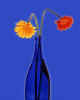 000785a Gerbera