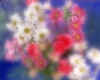 000839 Floral arrangement