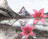000852 Lillies