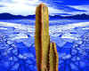 000930 Cactus