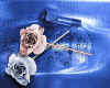 000944 Space flowers