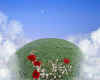 001059 Floral concept