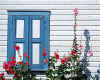 802497 Blue window