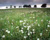 849945 Teesdale landscape