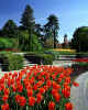 950589 Mainau