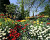 950592 Garden scene