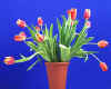 981396 Tulips