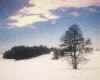 000978  D: Winter in the Allg�u