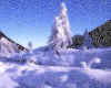 000476    D: Winter in the Isar Valley