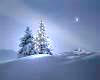 003355D  Winter in Bavaria