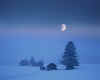 849654 D: Wintertime in the Allg�u